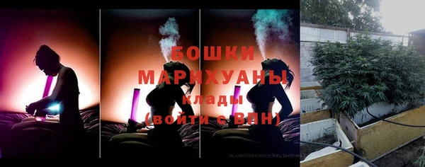 прущие грибы Аркадак