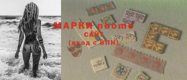 прущие грибы Аркадак