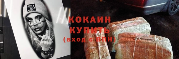 прущие грибы Аркадак