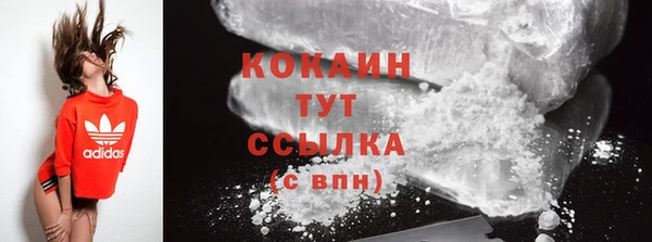 дживик Арсеньев