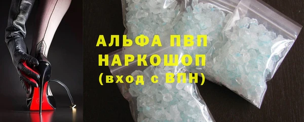прущие грибы Аркадак