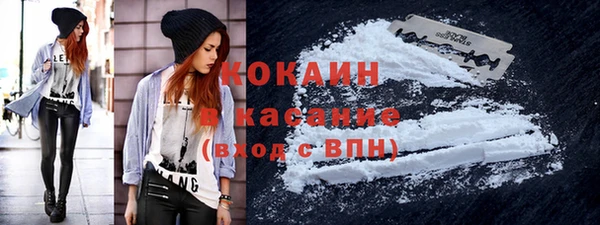 прущие грибы Аркадак