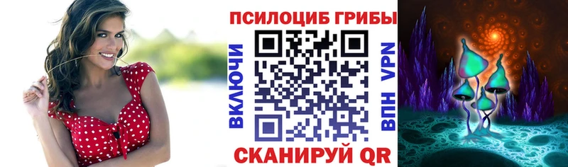 Галлюциногенные грибы GOLDEN TEACHER  Купить  Свободный 