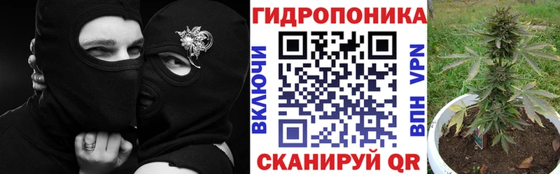 Купить  Свободный  МАРИХУАНА AK-47 